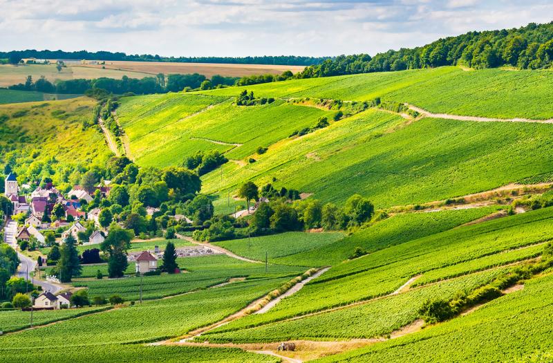 Panorama Vignoble de Champagne - Aisne Tourisme