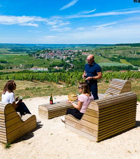 Point de vue sur Binson Orquigny - Vignoble de Champagne