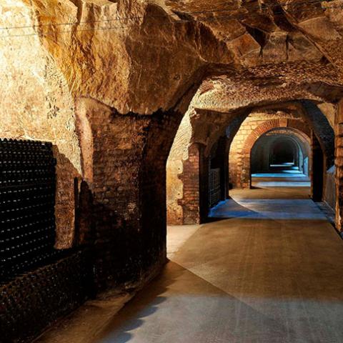 Caves Joseph Perrier - Châlons-en-Champagne